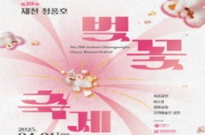 제천시, 팝콘 닮은 벚꽃 가득! 제29회 제천 청풍호 벚꽃 축제 개최, 국내여행, 여행정보