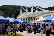 울진군, 철도관광의 시대를 그리다, 국내여행, 여행정보