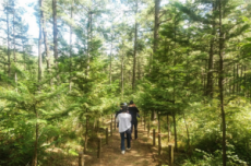 광양시, 백운산둘레길, 남파랑길 광양코스 등 걷기 명소 추천 , 국내여행, 여행정보