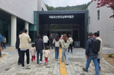 평창 관광지를 하루 만에! 2025년 평창시티투어버스 운영, 국내여행, 여행정보