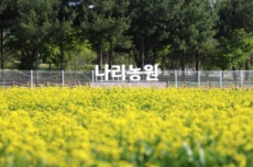 봄꽃 향기 따라 걷는 9일간의 초대…양주 나리농원, 5월 24일 봄 개장, 국내여행, 여행정보
