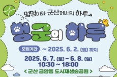 군산시, 반려견과 함께하는‘멍군의 하루’ 개최, 국내여행, 여행정보