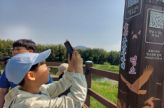  울산시, 태화강, 동천, 회야강 등 조류사파리 명소 탐조 버스 운행 , 국내여행, 여행정보