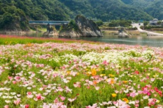 단양 도담정원, 7월 30일까지 ‘봄정원’으로 새단장, 국내여행, 여행정보