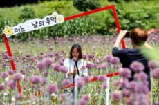강진군, 제2회 작천 코끼리마늘꽃 3Days 행사, 20~22일 개최 , 국내여행, 여행정보