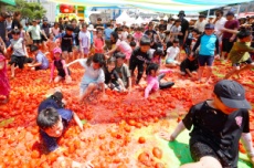 경기 광주, ‘퇴촌의 멋! 토마토의 맛!’, 제23회 퇴촌 토마토 거리 축제 6월 20일 개막, 국내여행, 여행정보