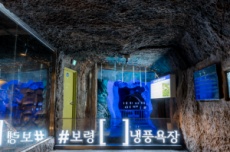 보령시, 더워질수록 시원해지는 ‘보령 냉풍욕장’ 본격 개장, 국내여행, 여행정보