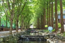 청양군, 칠갑산자연휴양림 새 단장 마치고 여름철 개장, 국내여행, 여행정보