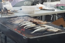 사천 여름철 별미 ‘햇전어’가 돌아왔다! , 국내여행, 여행정보
