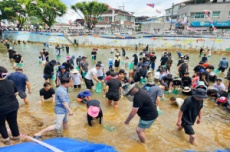 단양군, ‘2025 매화골 Hot Summer Festival’ 26~27일 개최, 국내여행, 여행정보