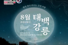 강원 방문의 해 8월 추천 여행지 ‘태백, 강릉’, 국내여행, 여행정보