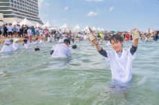 강원 고성군,  테마 해변과 축제 등 여름 관광 활성화 본격화, 국내여행, 여행정보