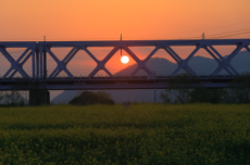 김해낙동강레일파크, `선셋 레일바이크` 운영 , 국내여행, 여행정보