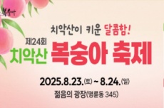 명품 복숭아! 제24회 원주 치악산복숭아 축제 23~24일 개최, 국내여행, 여행정보