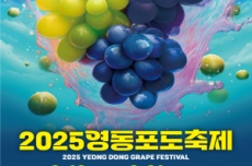 과일의 고장 영동, 2025 영동포도축제 9월 18일 개막, 국내여행, 여행정보