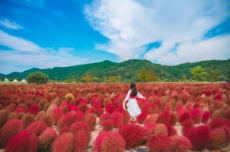 경남도, 걸음마다 물드는 가을, 경남 여행지 18곳 , 국내여행, 여행정보