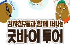강원관광재단, ‘오감자 축제(페스타) 굿바이 투어’ 개최, 국내여행, 여행정보