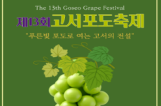 담양군, ‘푸른빛 포도로 여는 고서의 전설’ 고서포도축제 26일 개막, 국내여행, 여행정보