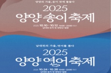 양양송이축제, 양양연어축제, 남대천일원서 분리 개최 , 국내여행, 여행정보