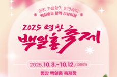 천만 송이 백일홍꽃밭,  평창 백일홍축제 10월 3일 개막 , 국내여행, 여행정보