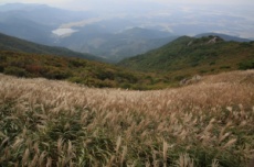 2025년 가을, 서해의 보석 보령에서 만나는 단풍 명산 7선, 국내여행, 여행정보