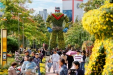 가을꽃 7,000만 송이 향연, 유성국화축제 개최, 국내여행, 여행정보