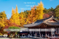 강원 방문의 해, 11~12월 '특별 추천 여행지'로 강릉 추가 선정, 국내여행, 여행정보