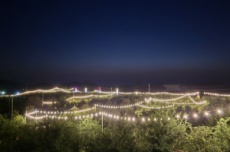 제5회 고흥유자축제 야간경관 사전 개방, 국내여행, 여행정보