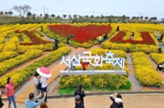 가을 정취 담은 국화의 향연,  서산국화축제 7일 개막, 국내여행, 여행정보
