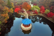 정읍시, 가을 명소 정읍 내장산, 고운 단풍 빛깔 뽐내…, 국내여행, 여행정보
