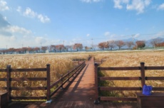 양양 해파랑길 44코스 걷기 참여자 모집, 국내여행, 여행정보