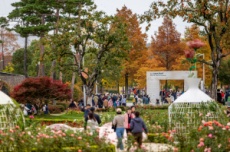 순천만국가정원 400만 돌파, 겨울엔 ‘산타가든’으로, 국내여행, 여행정보