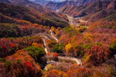 영동의 대표 관광명소 도마령, 만추의 정취로 짙게 물들어..., 국내여행, 여행정보