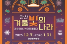 '안산 겨울 빛의 나라 7일 개막, 도심 속 겨울이 환한 빛으로..., 국내여행, 여행정보