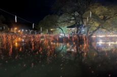 경남도, 함안 낙화놀이, 2025 한국관광의 별 선정 쾌거, 국내여행, 여행정보