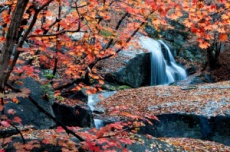 광양시, 올가을 여행의 마지막 페이지는 ‘광양 백운산’, 국내여행, 여행정보