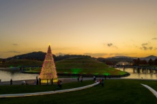 별이 내린 순천만국가정원 겨울, ‘산타가든’으로 행복을 전합니다, 국내여행, 여행정보