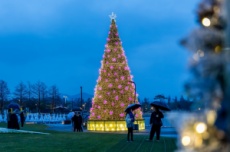순천만국가정원, 겨울 정원 ‘산타가든 위크(week)’ 개최, 국내여행, 여행정보