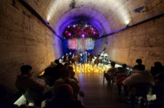 김해낙동강레일파크, `와인동굴 테마 콘서트` 개최 , 국내여행, 여행정보