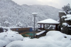 연말연시 온천·일출·미식 겨울 울진의 매력, 국내여행, 여행정보
