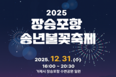 거제시, ‘2025 장승포항 송년불꽃축제’ 개최, 국내여행, 여행정보