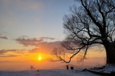 부여군, 2026년 병오년 성흥산 해맞이 행사 , 국내여행, 여행정보