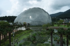 거제식물원, 1월 1일 정상 운영, 국내여행, 여행정보