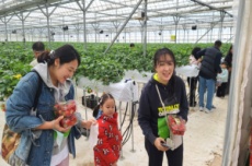 전남도, 1월 농촌체험휴양마을에 담양 물구십리 마을 선정, 국내여행, 여행정보