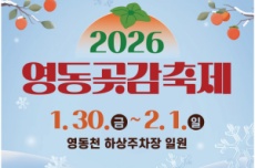 영동의 달콤한 겨울, 영동곶감축제 30일 개막 , 국내여행, 여행정보