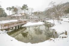 광양시, 백운산자연휴양림 겨울 웰니스 관광지로 추천, 국내여행, 여행정보