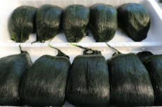 완도군, 겨울철 건강한 에너지, '완도의 5대 겨울 별미' 선정, 국내여행, 여행정보