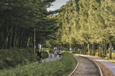 노원구, <경춘선 숲길> 광운대역세권까지 연장, 국내여행, 여행정보