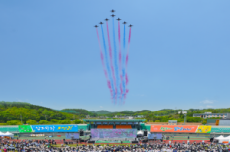 보성다향대축제! 전남 대표 ‘우수축제’ 선정, 문화관광축제 연속 지정 , 국내여행, 여행정보
