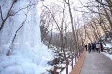 춘천 구곡폭포 빙벽, 겨울 관광콘텐츠로 급부상, 국내여행, 여행정보
